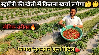 Strawberry के खेती कैसे करें | Strawberry farming in India | Profit | Hindi | AGRIL CAREER
