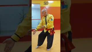 Kung Fu, Taolu Zhong Yi Quan