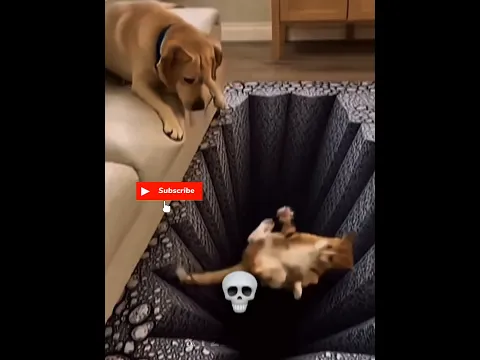 Dramatic cats 💀