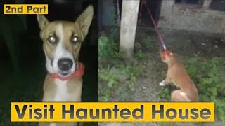 Visit Haunted House with My Dog Pluto | Street Dog Pluto 2nd Part