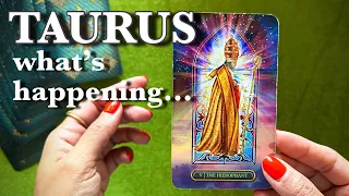 TAURUS "I Would Sit Down For This If I Were You! Make Room!"