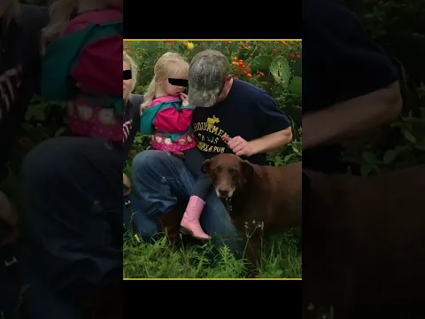 #noads