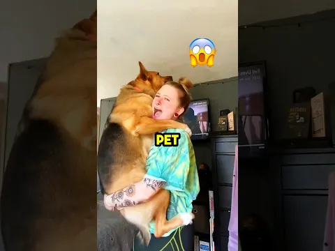 Which Pet Would You Keep Forever?😇