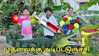 முதலைக்கு அடிபட்டுருச்சி🐊|comedy video |funny video |Monika miniature cooking