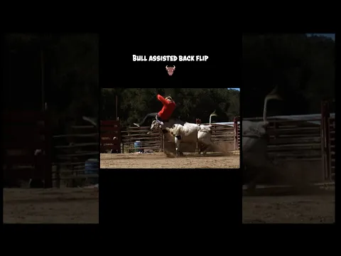 MAN VS BULL (GONE WRONG)