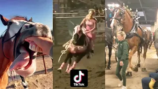Horse Videos That Went Viral! #1