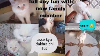 Full Day Fun With My New Family Member @Ranglani_ji  #catlover #fullvlog #minivlog #100million