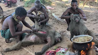 The ICONIC LIFE OF BUSHMEN, Baboon is one of favorite Soup Hadza cooks for breakfast