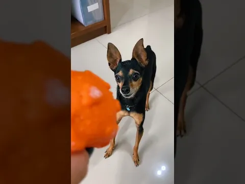 #shorts NÃO PEGA O MEU BRINQUEDO 😠