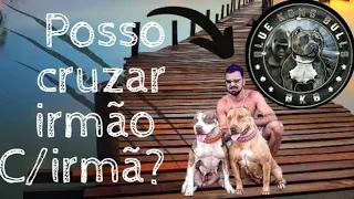 Pode cruzar irmãos ?