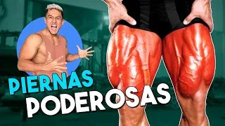 PIERNAS DESDE CERO | Rutina con enfoque en cuádriceps