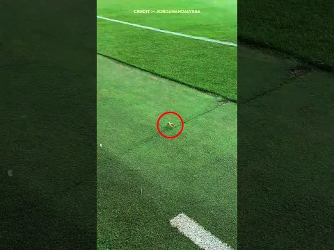 Man Finds a Gold Watch on the Ground 😳 #shorts