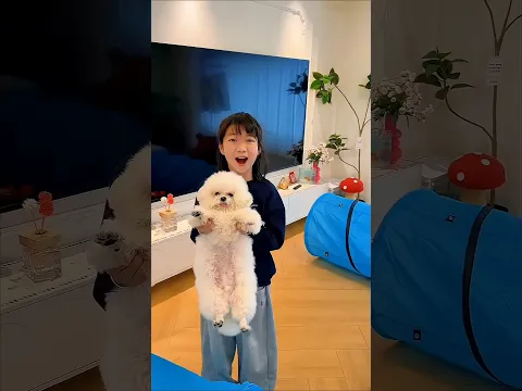 Chhotu gave his dog special training #shorts #vairalshort