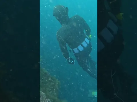 Cosas que he visto pescando - #1