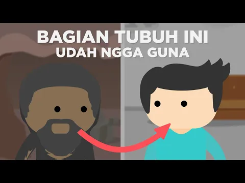 Sisa Evolusi di Tubuh Kita Ini Udah 'Ngga Berguna'