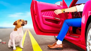 ¡Hombre rico salvó a perro pobre de la BASURA! *Los dispositivos más geniales para mascotas*