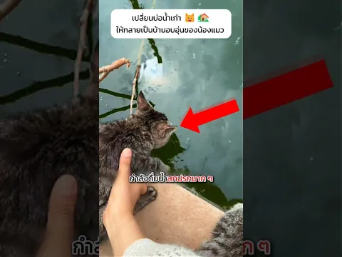 เปลื่ยนบ่อน้ำเก่า ให้กลายเป็นบ้านอบอุ่นของน้องแมว 🐱🏠