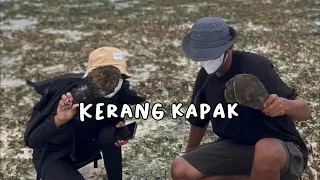 Mencari Teripang, kerang, siput, ikan, kepiting, bintang laut, dan bulu babi