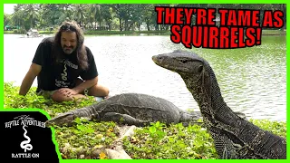 GIANT WATER MONITORS ARE LIKE SQUIRRELS IN THIS BANGKOK PARK!