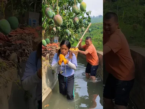 राजू आज पिंकी को क्यों मार रहा है 🥺😭  #shortvideo #indianshorts #mangojuice #mangorecipe #orangecake
