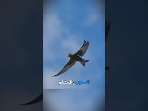 3 حيوانات مستحيل تقرب من صغارها! 🛑 المركز الأول بيحبس عيلته طين! 😱🦅