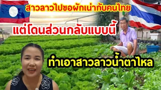 สาวลาวไปขอผักเน่ากับคนไทย🇹🇭 ไม่คิดว่าจะส่วนกลับแบบนี้ ทำเอาสาวลาวน้ำตาไหล