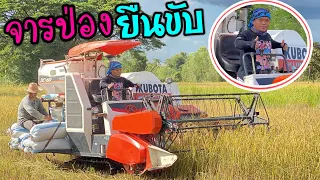 จารป่องยืนขับรถเกี่ยวข้าว‼️อย่างเทพเลย ตัวเล็กแต่ใจใหญ่