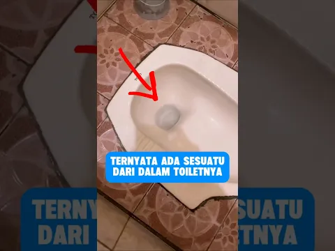 Ternyata ada sesuatu dari dalam toiletnya