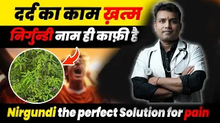 वात | दर्द का काम ख़त्म-निर्गुन्डी नाम ही काफ़ी है | Nirgundi the perfect Solution for pain Ep.593