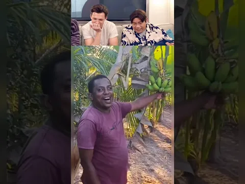 Tom Holland React Viral Videos Part 34 #tomholland #funny #trynottolaugh #reaction