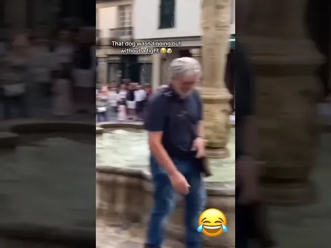 Playful Pooch Makes a Splash at the Public Fountain | Dog Playing in Fountain | Funny Dog
