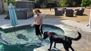 How I Get A Dog Over Their Fear Of Water In MINUTES!!