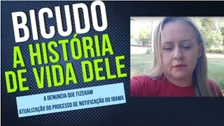 A HISTÓRIA DO BICUDO, DENÚNCIA E ATUALIZAÇÃO SOBRE A NOTIFICAÇÃO DO IBAMA