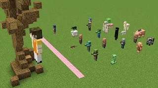 squid game