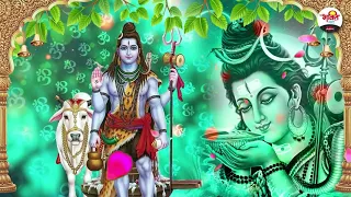 शंकर जी के पावन भजन-Jukebox | सोमवार स्पेशल | Shiv Ji Fresh New Bhajan 2021 | Somwar Special