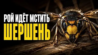 Шершень: «месть роя» и пчелиный шар: вся правда о самом оболганном насекомом#животные #милыеживотные