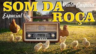 🔴 O SOM DA ROÇA - Viola Caipira/Sertanejo Raiz (Boa Viagem ) #modao #sertanejo #modadeviola