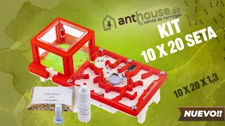 NOVEDAD! Kit Hormiguero 3D 10x20 Seta, En 5 Colores, con tapas de galeria deslizantes de Anthouse.es