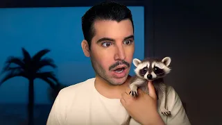 ¡Encontré un Mapache Bebé en la Playa!