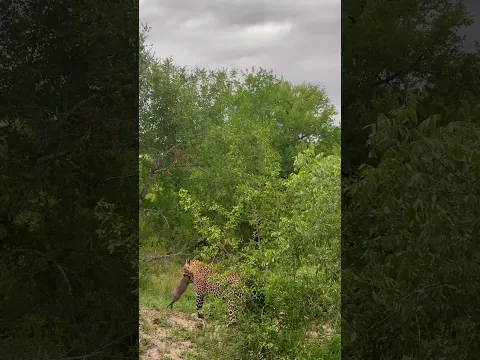 Watch the full video for more!