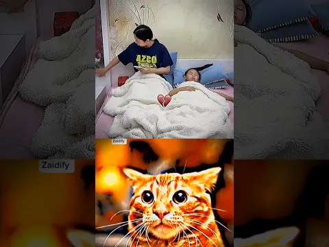 give this video title (warning answer) #cat #meme #dance #trending