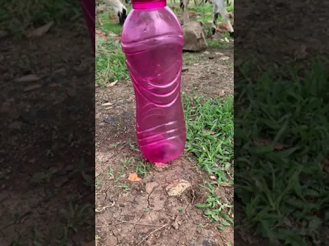 khatarnaak video bhuth