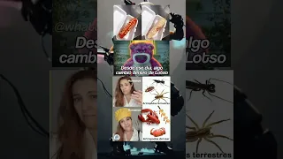 se pasó de lanza