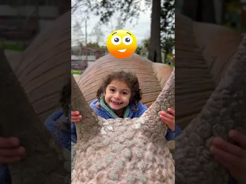 Opposite Words Challenge for Kids!