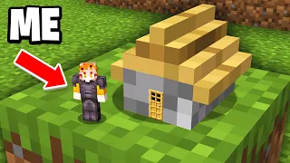 Minecraft, But You Get Smaller…