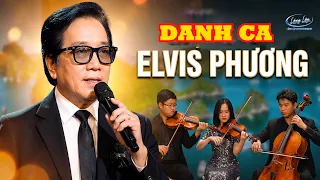 BÀI THƠ CUỐI CÙNG - DANH CA ELVIS PHƯƠNG 2026 l MAI VỀ NẾU LỠ KHÔNG GẶP NỮA