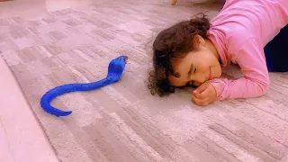 دخلت افعى لمنزلهم
