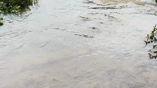 বন্যায় তলিয়ে যাচ্ছে রাস্তাঘাট?