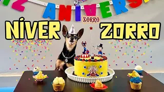 A FESTA SUPRESA DE ANIVERSÁRIO DO ZORRO! 🥳✨