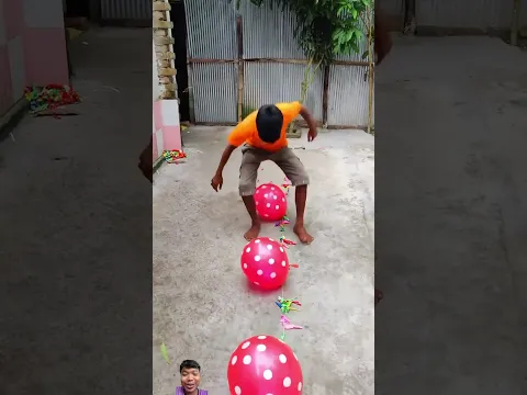#funny #dog #comedy